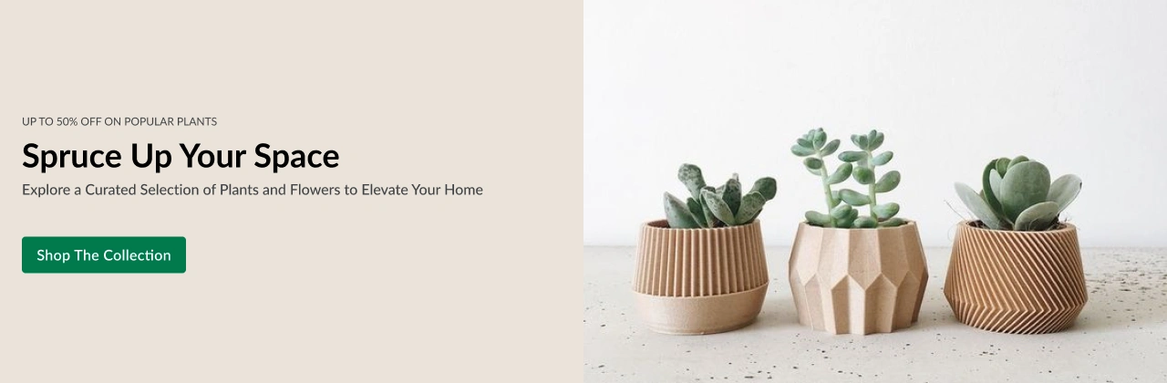 https://flower.revowoo.com/wp-content/uploads/revo-woocommerce-theme/theme/images/plant_image_1.webp