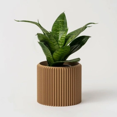 Indoor Plant - Bois Avec trous + soucoupe