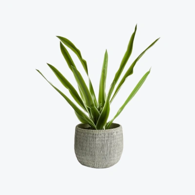Artificial Natural Lily in Textured Pot